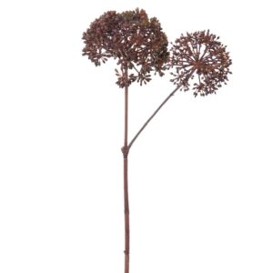 Angelica 177cm burgundy